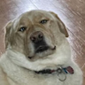 Meet your Posher, Maeve